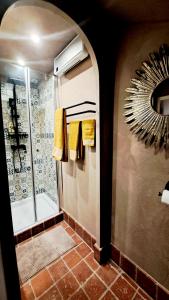 een badkamer met een douche, handdoeken en een spiegel bij COSY STUDIO-LOFT A SANCOINS in Sancoins