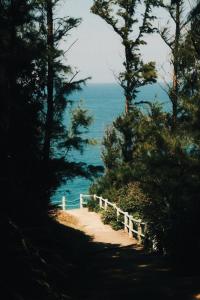 um caminho que leva ao oceano com árvores e uma cerca em Khách sạn Phú Yên em Liên Trì (3)