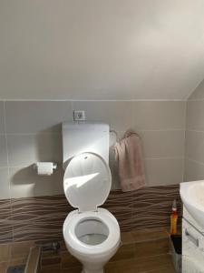 a bathroom with a white toilet and a sink at Vikendica na dan in Novi Sad +19 photos