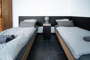 a bedroom with two beds and a nightstand between them at Blauer Stein 7a WH06 - Apartment Studio plus 1 SZ, 7Betten in Pulheim