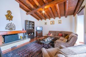 sala de estar con sofá y chimenea en Ca' Pinina - Happy Rentals, en Sonvico