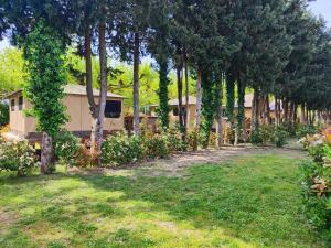 a garden with trees and a house in the background at Camping Porte des Alpilles by M.A DESTINATION GLAMPING in Saint-Étienne-du-Grès