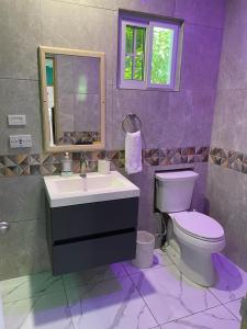 a purple bathroom with a toilet and a sink at Taste Of Freedom in Brighton Village