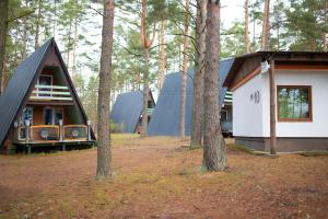 a couple of tents in the woods with trees at Ośrodek BEAVER in Wiele
