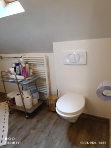 a bathroom with a white toilet and a shelf at Maison romantique entre deux fleuves chez l'habitant in Montereau-Fault-Yonne