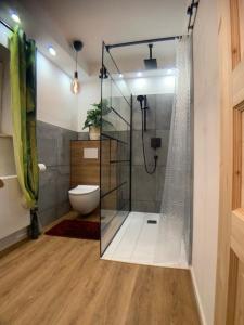 uma casa de banho com um chuveiro e um WC. em Meine Stil Oase an der Bergstraße em Rimbach