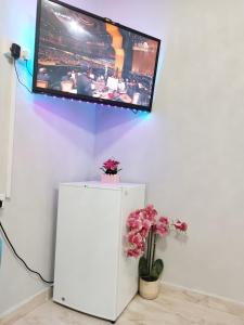 TV en una pared con flores encima de una nevera en منزل صحم, en Al Quşayr