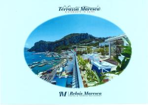 a picture of a harbor with boats in the water at Relais Maresca Luxury Small Hotel & Terrace Restaurant in Capri