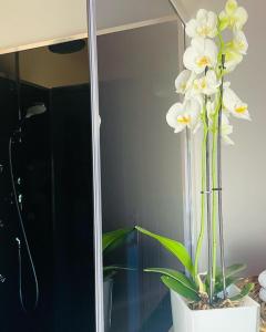 un jarrón con flores blancas delante de un espejo en Yourte au Paradis, en Souvigné