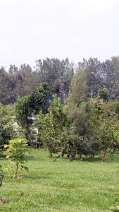 un prato con alberi sullo sfondo di DON BOSCO HOSPITALITY CENTRE KIGALI Ltd a Kigali