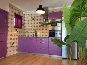 una cocina púrpura con armarios morados y una planta en La Pequeña Morada, en Arcos de la Frontera