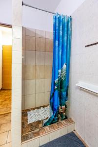 a shower with a blue curtain in a bathroom at Country Saloon in Vranov nad Dyjí