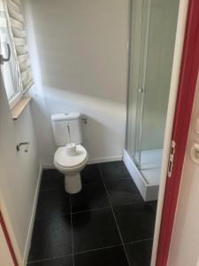 a small bathroom with a toilet and a shower at Grand Place Roubaix Appartement Style Loft in Roubaix