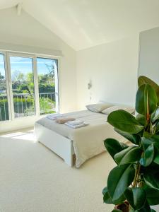 um quarto branco com uma cama e uma planta em L’Abri-Cotier - Maison rénovée em Dinard