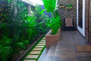 een tuin met een stoel en een aantal planten bij l'Eldorado in Cotonou