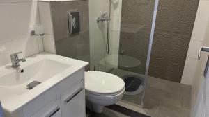 a bathroom with a toilet and a sink and a shower at Ležimirski Snovi in Ležimir +25 photos