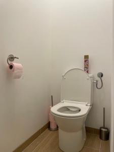 a bathroom with a toilet with a roll of toilet paper at Cosy studio, lit double in Le Mans +2 photos