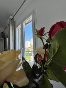 a plant with roses sitting next to a window at Aegean Pearl Studio in Tinos Town