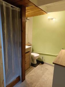 Bilik mandi di Appartement sur la ViaRhôna