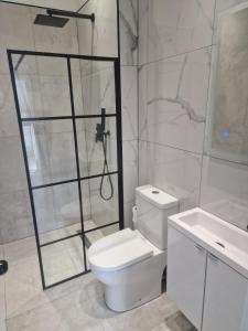 a bathroom with a shower and a toilet and a sink at Richmond Apartments in London