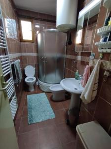 a bathroom with a toilet and a shower and a sink at Apartman Unac in Drvar