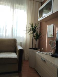 Kuchyň nebo kuchyňský kout v ubytování Apartman Unac