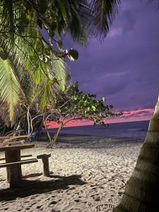 ławka na plaży z drzewami i oceanem w obiekcie Villa Esperanza w mieście Palomino
