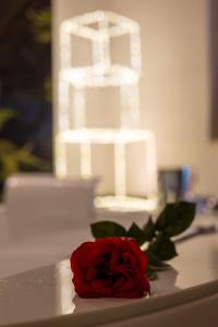 una rosa roja sentada en una mesa con un pastel en Suite Home3 beb, en Bisceglie