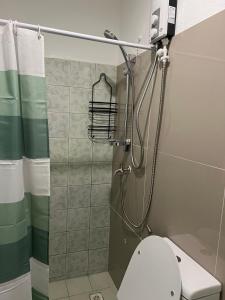 Koupelna v ubytování B & B Suite Room