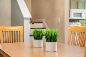 two plants in white containers on a wooden table at Resort w Lazy River and Arcade 30mis to Disney in Davenport