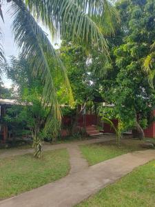 a path leading to a house with a palm tree at Bungalow Chez Mouch Nosy Be 7 in Nosy Be