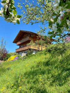 Aed väljaspool majutusasutust CHALET EGGLEN "Typical Swiss House, Best Views, Private Jacuzzi"