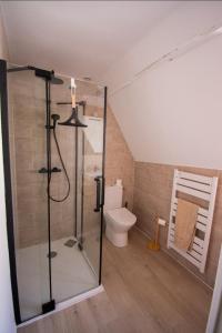 a bathroom with a shower and a toilet at Maisonbroca in Bourges +3 photos