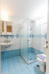 a bathroom with a shower and a toilet and a sink at Lemon Art Hotel Apartments in Tolo