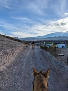 a person riding a horse down a dirt road at BusTel Hostel en Bus in Potrerillos