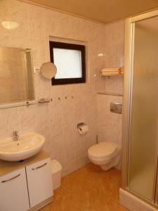 a bathroom with a toilet and a sink and a shower at Ferienwohnung Frenzel in Kurort Gohrisch