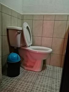 a pink toilet with the seat up in a bathroom at Hotel city of antigua s.a in Antigua Guatemala
