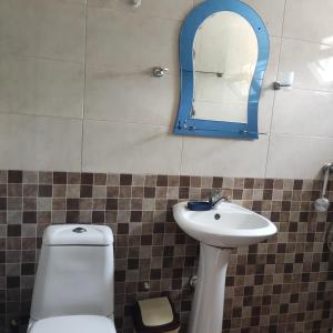 bagno con servizi igienici, lavandino e specchio di Giomari a Shekhvetili
