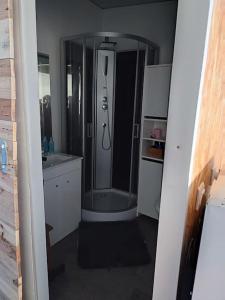 a bathroom with a shower and a sink at tiny house in Les Sorinières