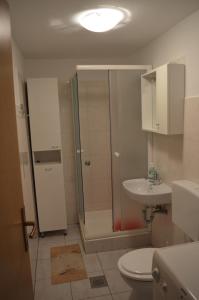 a bathroom with a shower and a toilet and a sink at Apartman Seka in Senj