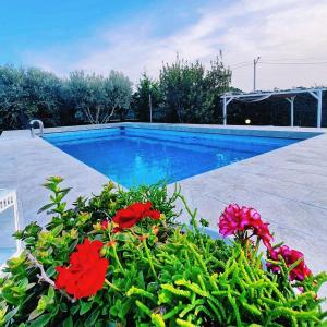 una piscina con flores rojas delante de ella en Villa Leale en Plemmirio