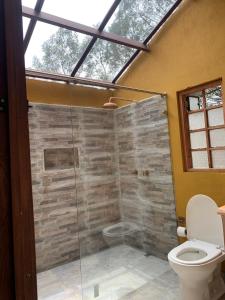 bagno con doccia in vetro e servizi igienici di Hotel Rokas de Suesca a Suesca