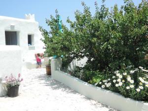 a garden with flowers and a white wall at Studios Kapsali II in Galini