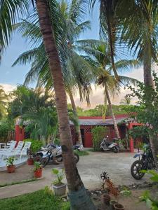 a group of motorcycles parked in front of a building with palm trees at Bungalow Chez Mouch Nosy Be 5 in Nosy Be