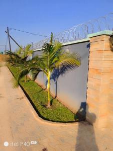 un palmier devant un bâtiment dans l'établissement ALIJAY APARTMENTS, à Mumbwa