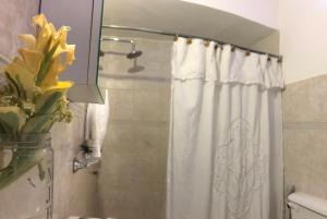 y baño con ducha y cortina de ducha. en ms.propiedadesviedma en Viedma