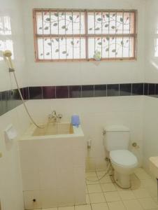 a bathroom with a toilet and a sink and a window at Villa family Montana 3 in Cicadas