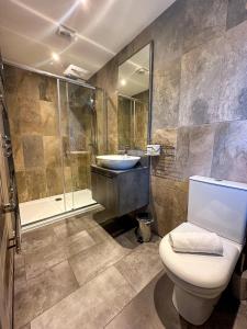 a bathroom with a toilet and a sink and a shower at Zen Jungle Retreat - Log Cabin Stays, Transformational Retreats & Holistic Wellness near Bude - A 40 Acre Retreat with 5 Lakes, Woodland, Firepits, Bistro & Bars in Holsworthy