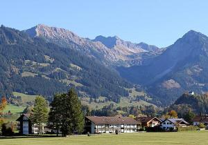 une maison dans un champ avec une montagne en arrière-plan dans l'établissement Ferienwohnung Berglicht, Ambiente im Allgäu, à Fischen im Allgäu