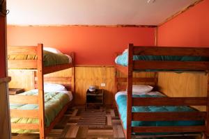 two bunk beds in a room with an orange wall at Cabañas & Hostal Lefuco in Curacautín